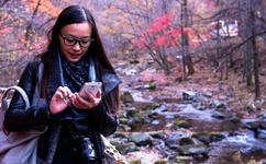 angelababy拍的电影